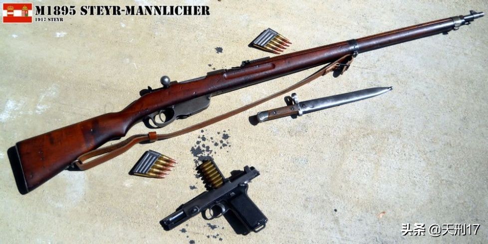 德式步枪大全,德式突击步枪大全