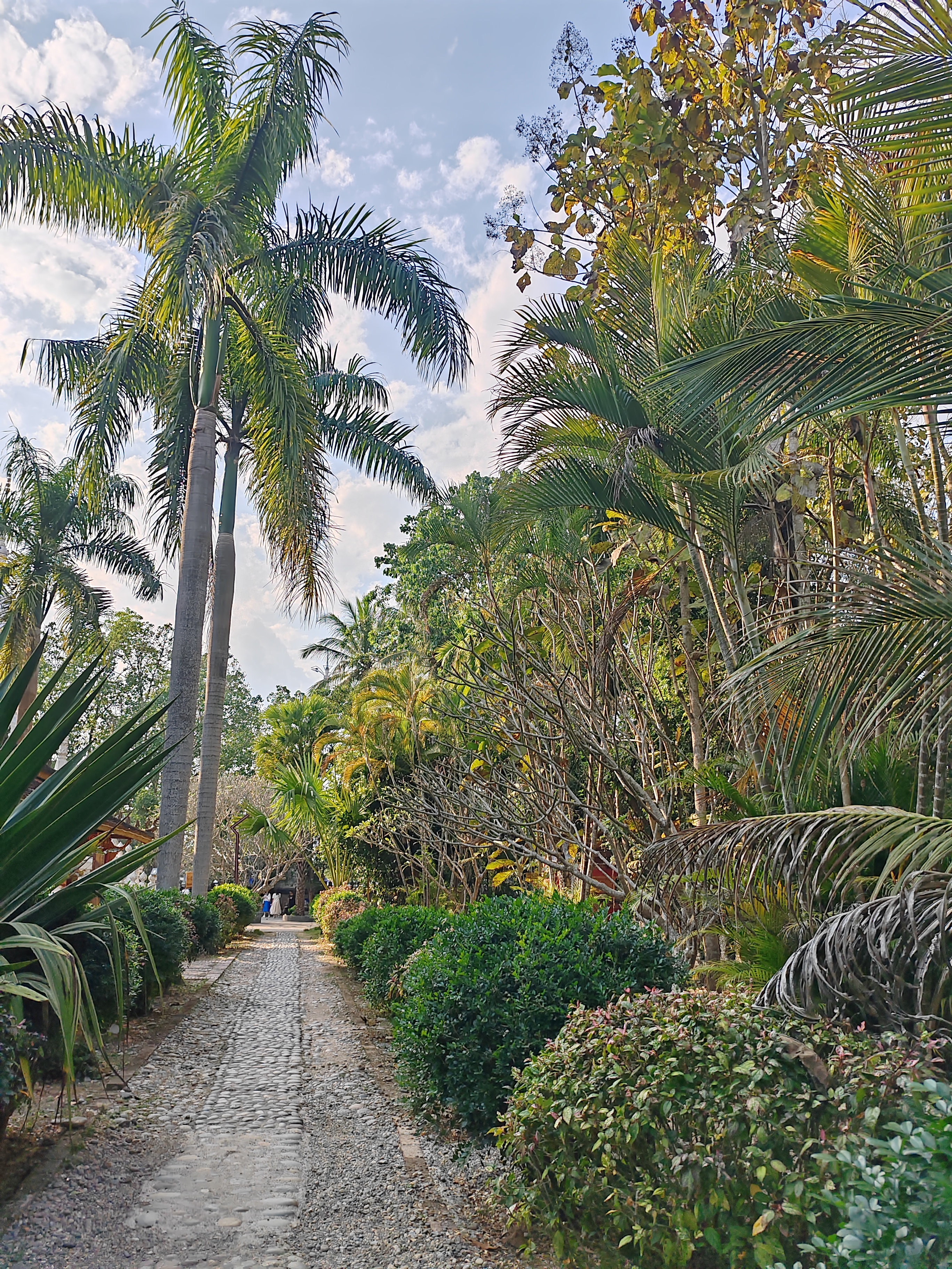 西双版纳傣族村寨和傣族园,西双版纳美丽的傣族园