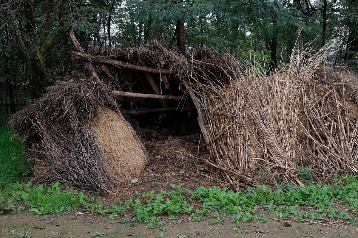 2009年，云南一男子强占发廊女为妻，住深山老林，最后结果如何？