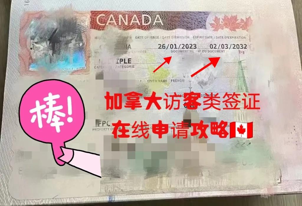 加拿大访客签证和旅游签证,加拿大访客可以入境吗