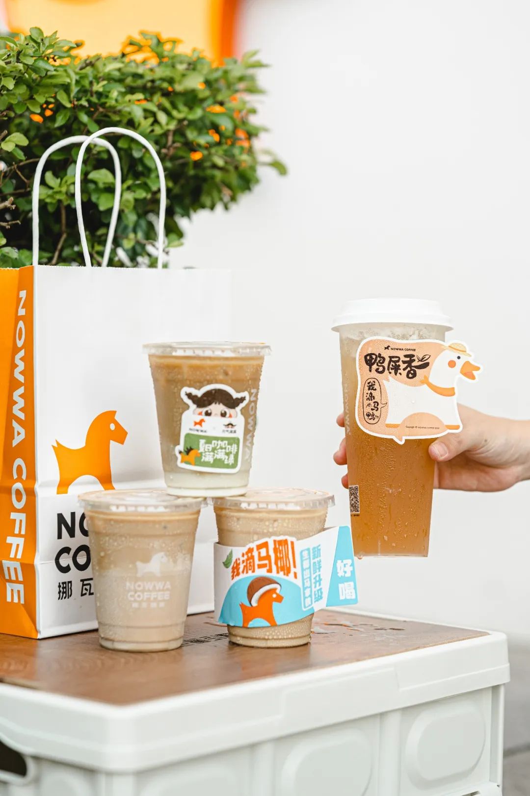 我滴马椰！连开100店