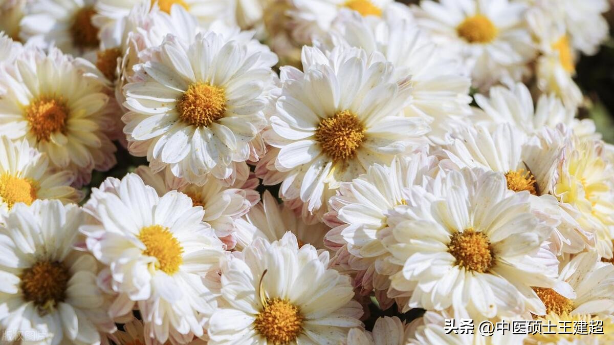 肝火旺都有什么表现如何给肝降火,肝火旺吃什么中成药比较好保护肝