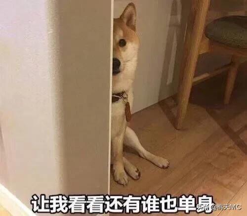 男人一辈子不结婚的生活,男人一辈子不恋爱会怎么样