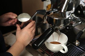 云南天皓庄园,云南天皓咖啡豆