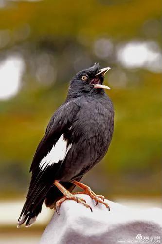 民间故事百集连播,民间故事集