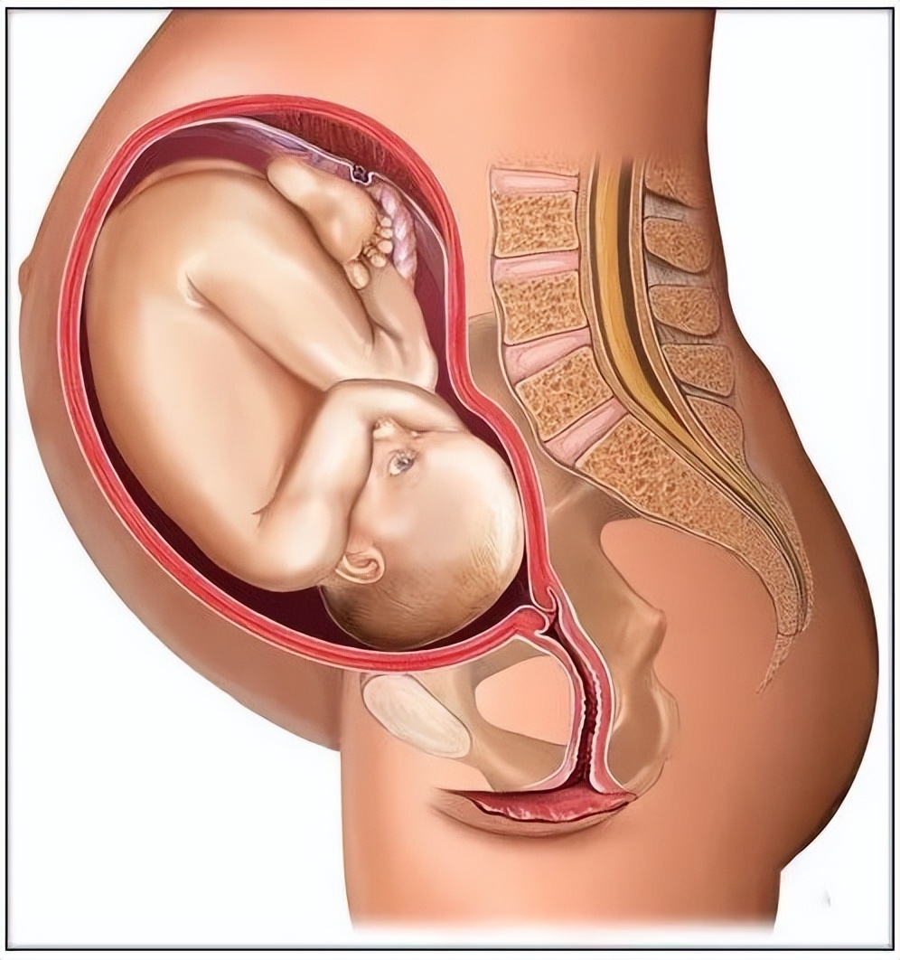 孕妈妈的身体有3种表现,孕妈妈孕早期有哪些症状