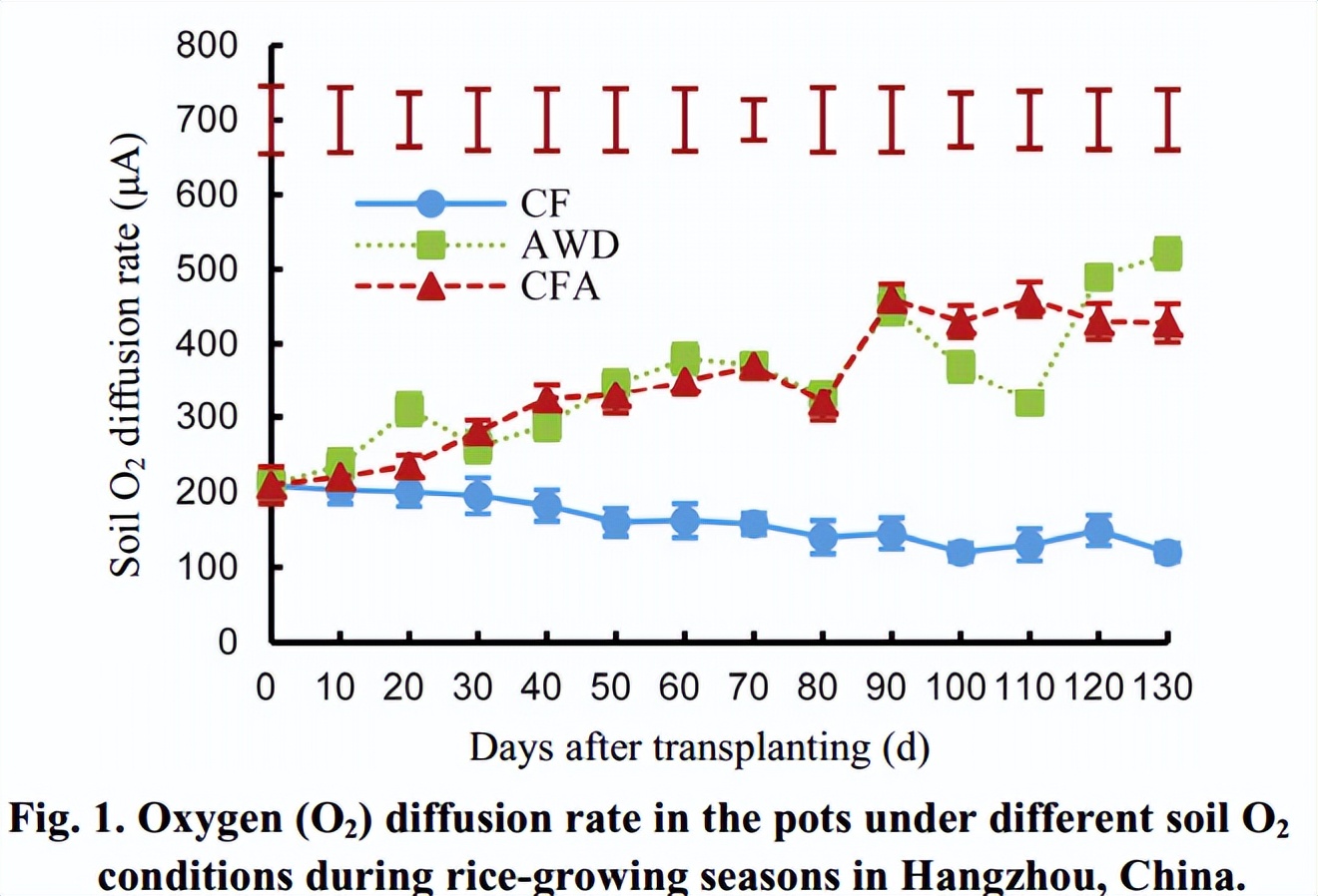 促进水稻氮素吸收利用的途径,促进水稻根系生长的措施