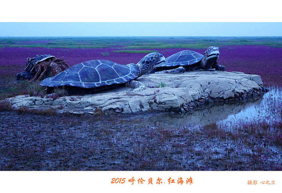 辽宁盘锦红海滩免费旅游攻略,内蒙古足迹旅行