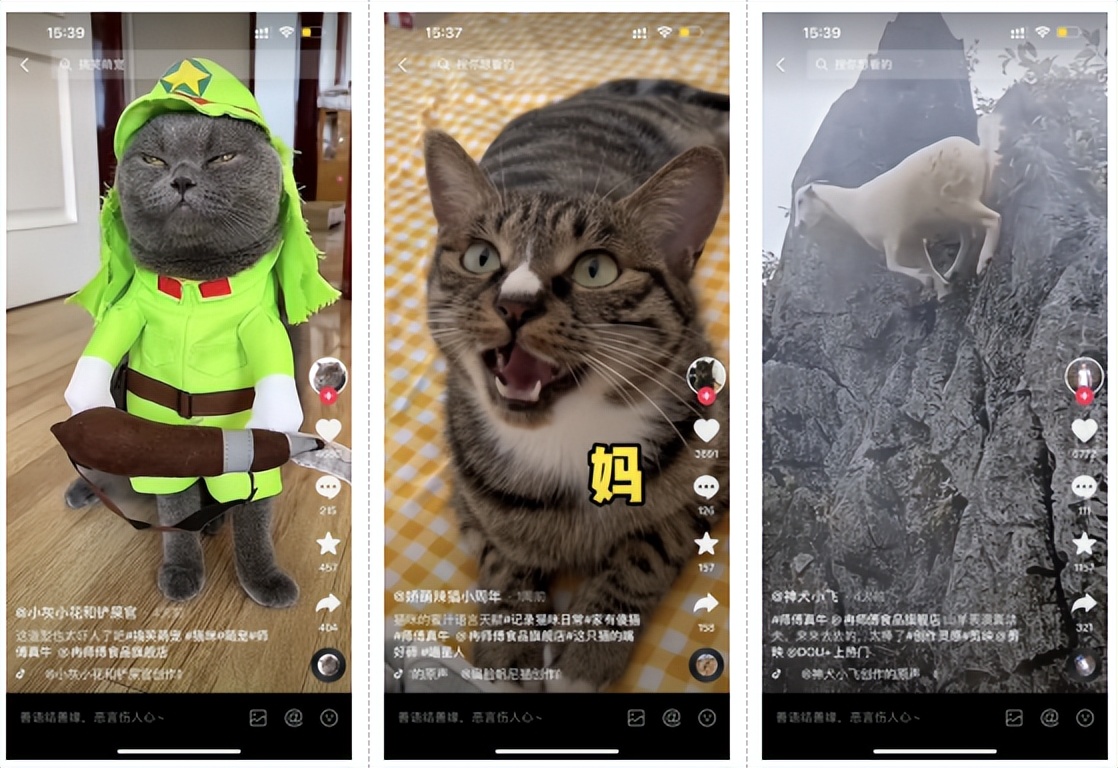 甯堝倕鐪熺墰鎸戞垬閾炬帴,甯堝倕鐪熺墰鍏ㄦ皯浠诲姟