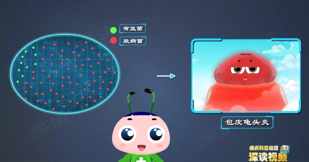 龟包皮炎用什么药,龟包皮炎