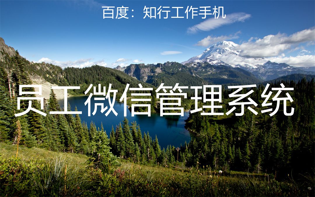 超越运营限制,提升效率——个人微信管理系统,你的微信运营神器