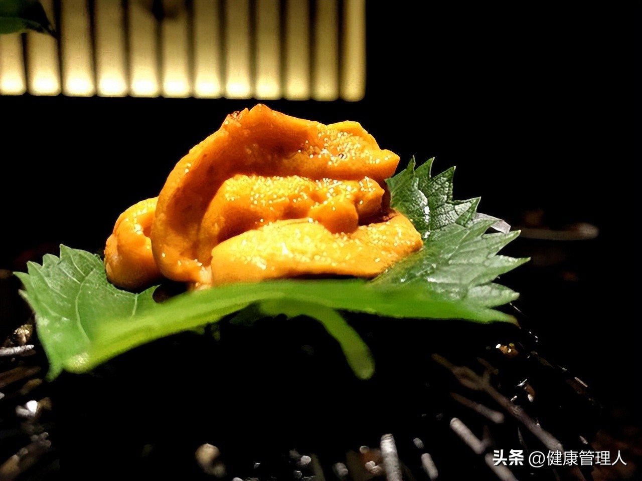 世界顶级海鲜食材,世界顶级的海鲜视频