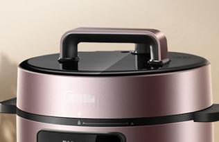 电压力锅，你怎么看？百花争芳的手柄（3-手柄篇）