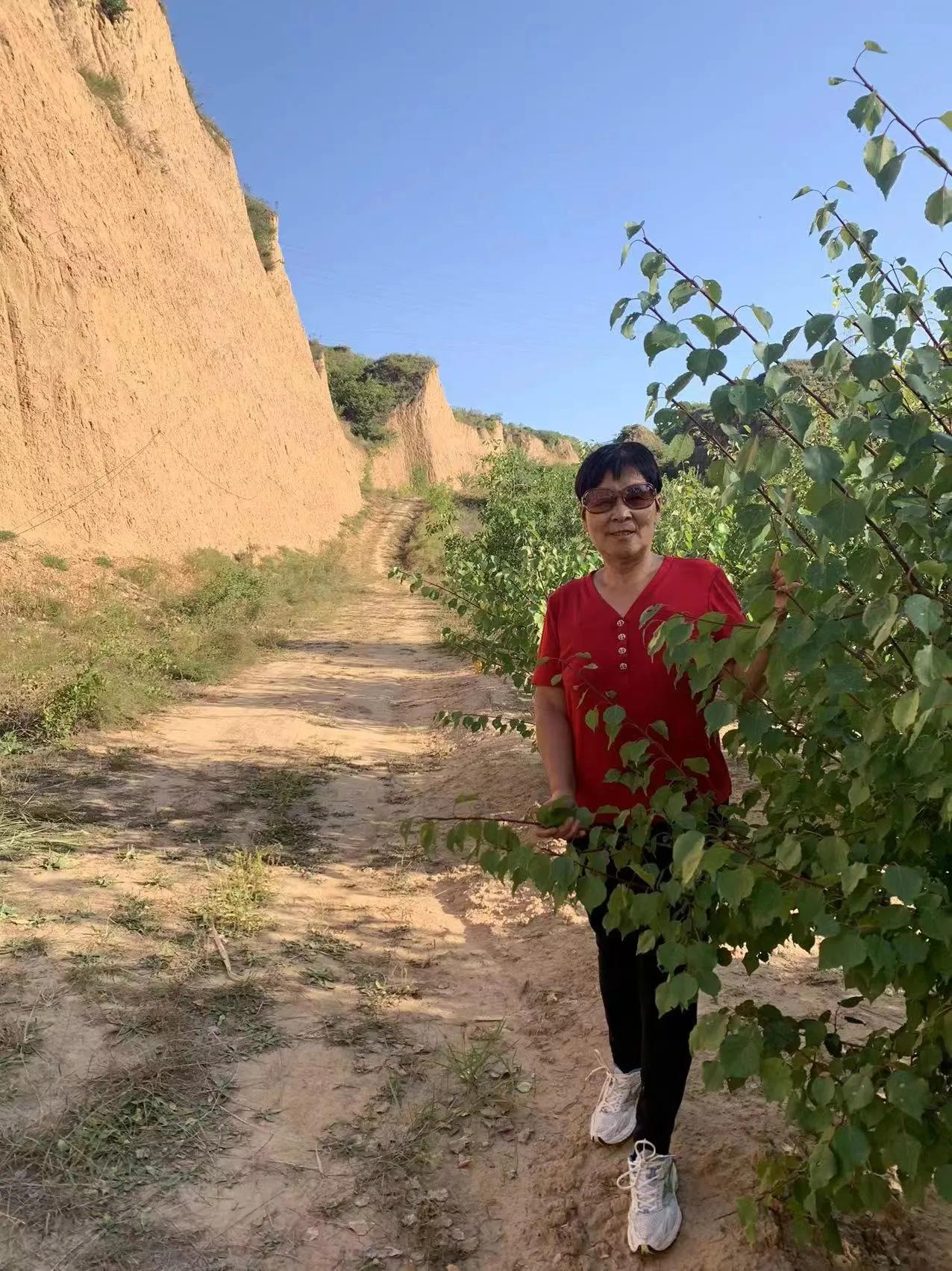 寮犲鍙ｅ競瀹ｅ寲鍘挎潕澶т汉搴勬潃浜烘,瀹ｅ寲鏉庡ぇ浜哄簞鍦板悕鏉ュ巻