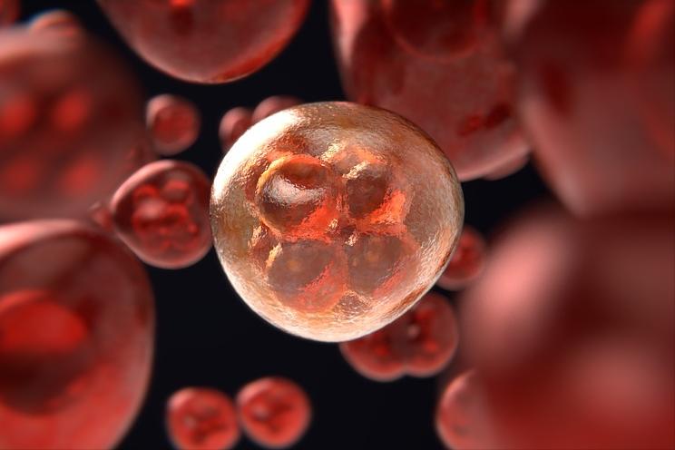 癌症的发病原因及其如何预防,癌症都是先由炎症引起的吗