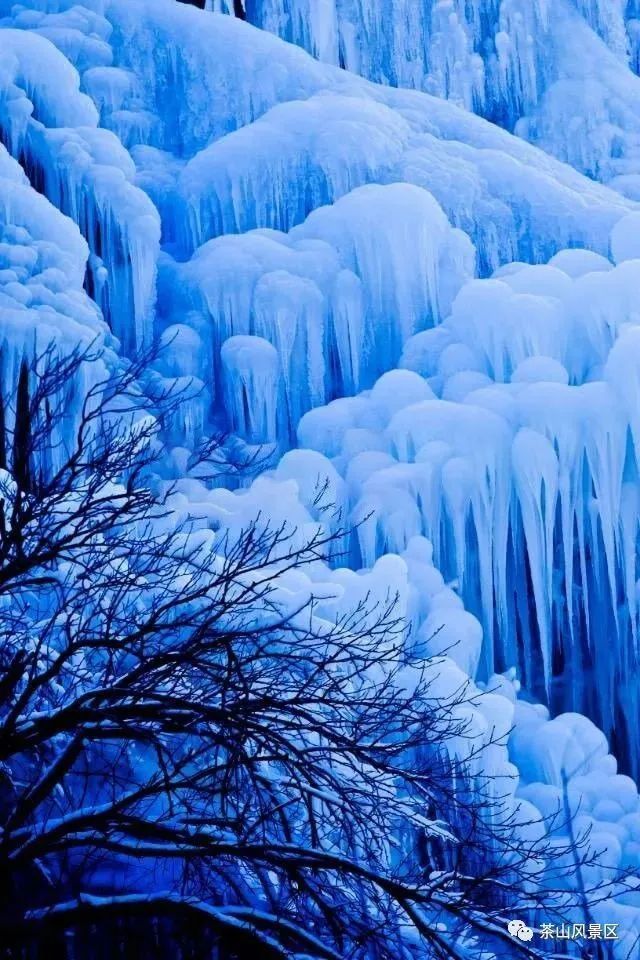 青岛多家景区限时免门票,青岛56个免门票景区