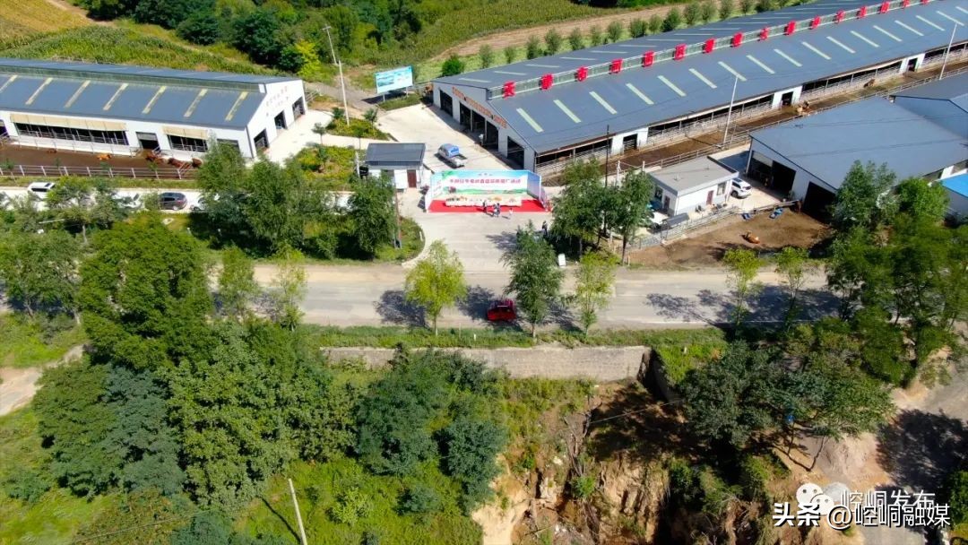 “我们这十年”丨崆峒：“畜”势勃发“牧”歌欢唱