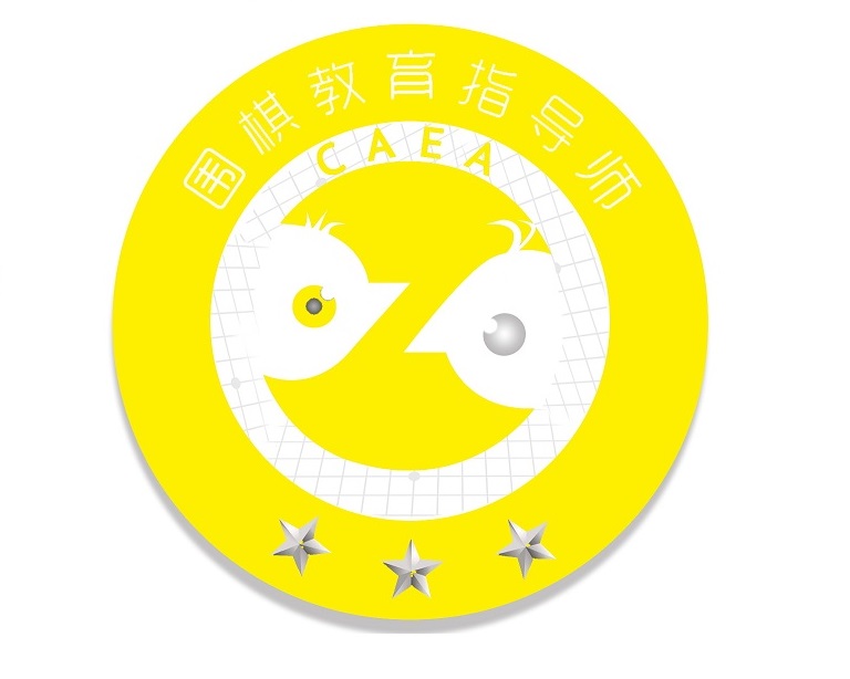 高级围棋教育指导师陆老师,高级围棋教育指导师李世石