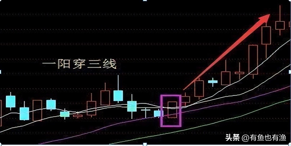 散户在股市成功盈利的实践,散户在股市上赚钱的真相