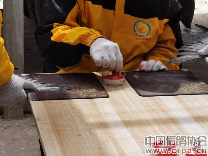 2022年“洲际杯”执裁实录：宁夏万喜站300公里第一关