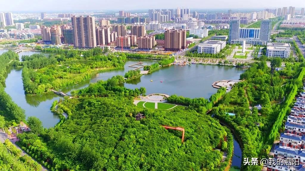 从一粒种子到一粒米全产业链,宿迁如何发展绿色家居产业