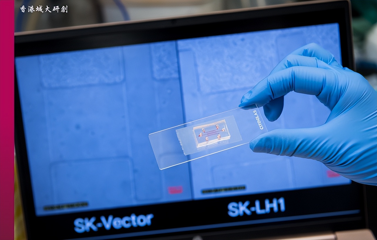 香港治疗癌症突破,香港癌症治疗最新突破