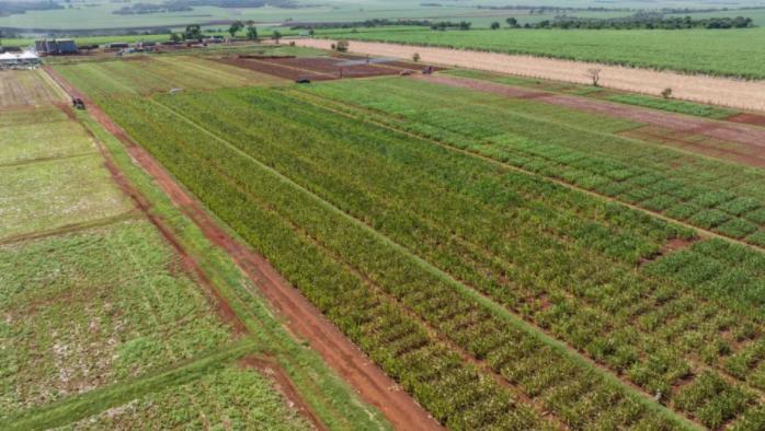 中国买家取消美玉米订单，改买巴西玉米，美媒体大呼不满！