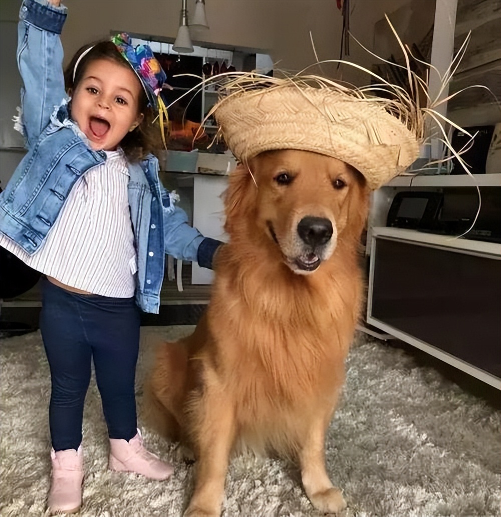 养什么狗好不咬人又温顺又聪明,哪种狗性格温顺安静而且忠于主人