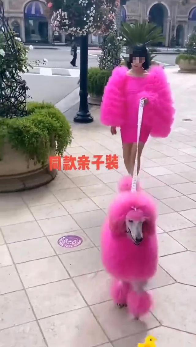 一女孩为宠物花10万元装修宠物屋,爱宠亲子装定制