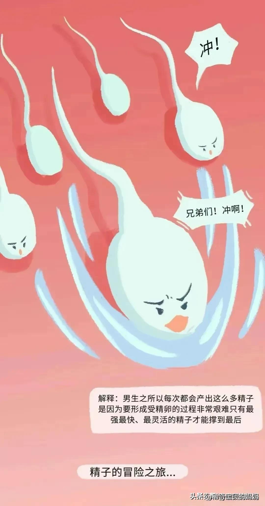 科普知识小蝌蚪怎么成长为青蛙,小蝌蚪动画的成长过程