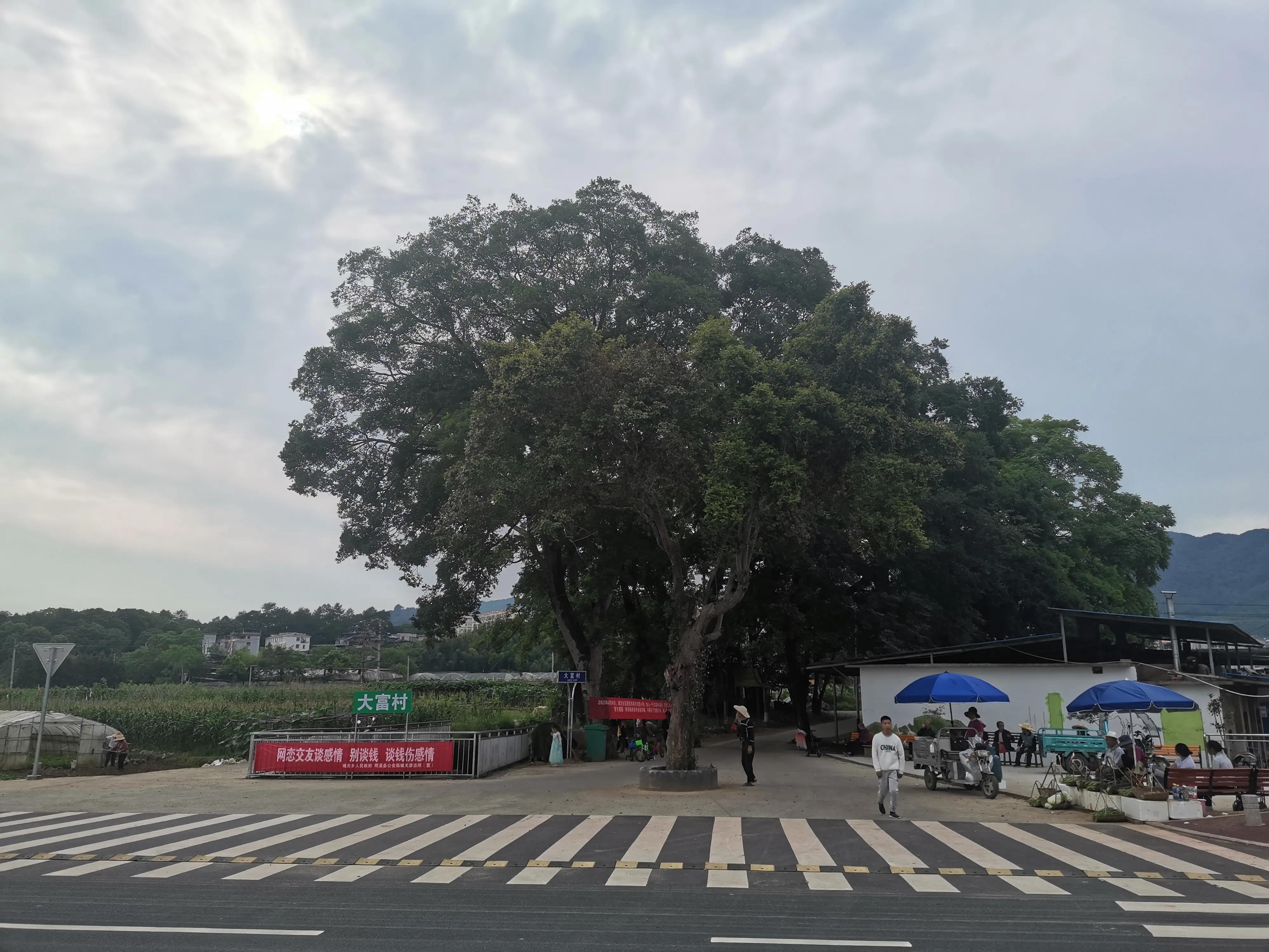 赏山水美景享田园生活,拥抱自然山水乐享田园风光