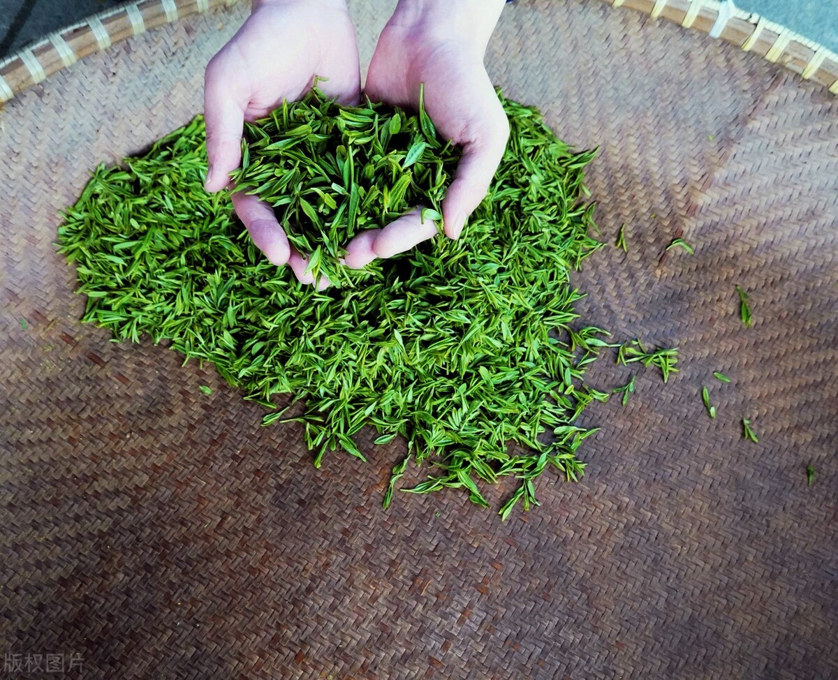 绿茶龙井茶叶直播,绿茶龙井茶叶价格表