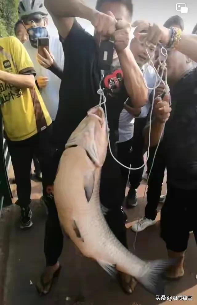 钓鱼新鲜事！“代钓”一族你听说过吗？