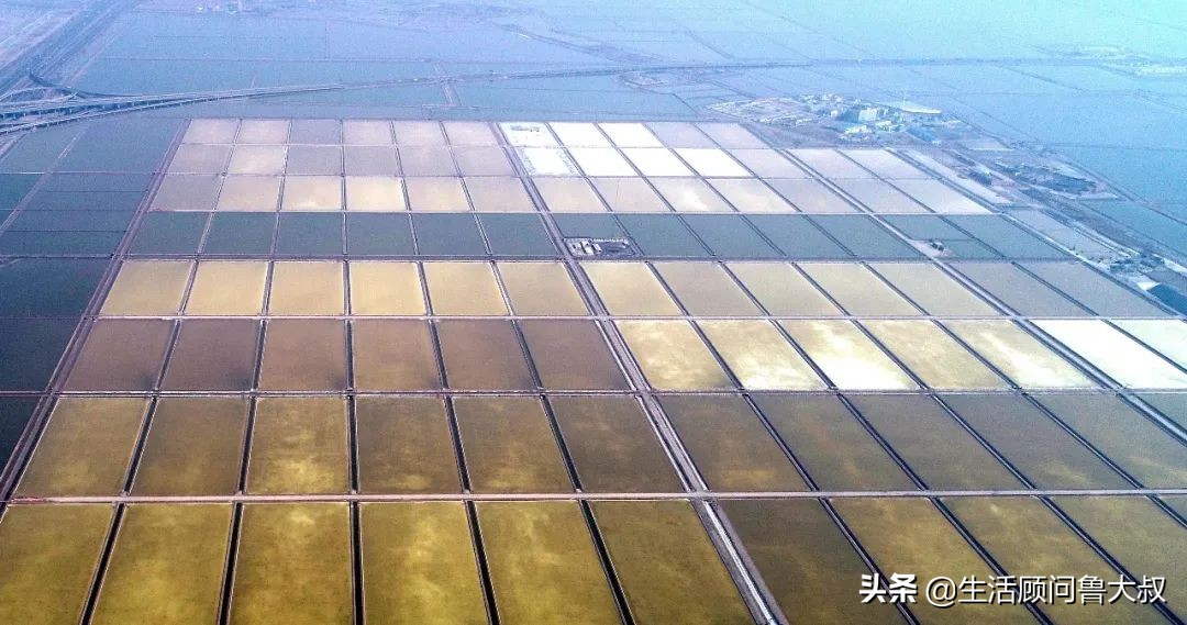 天津文化自然遗产,天津市物质文化遗产名单