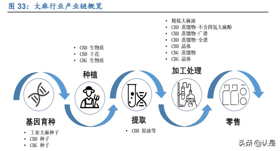 工业大麻的未来发展,工业大麻的未来前景