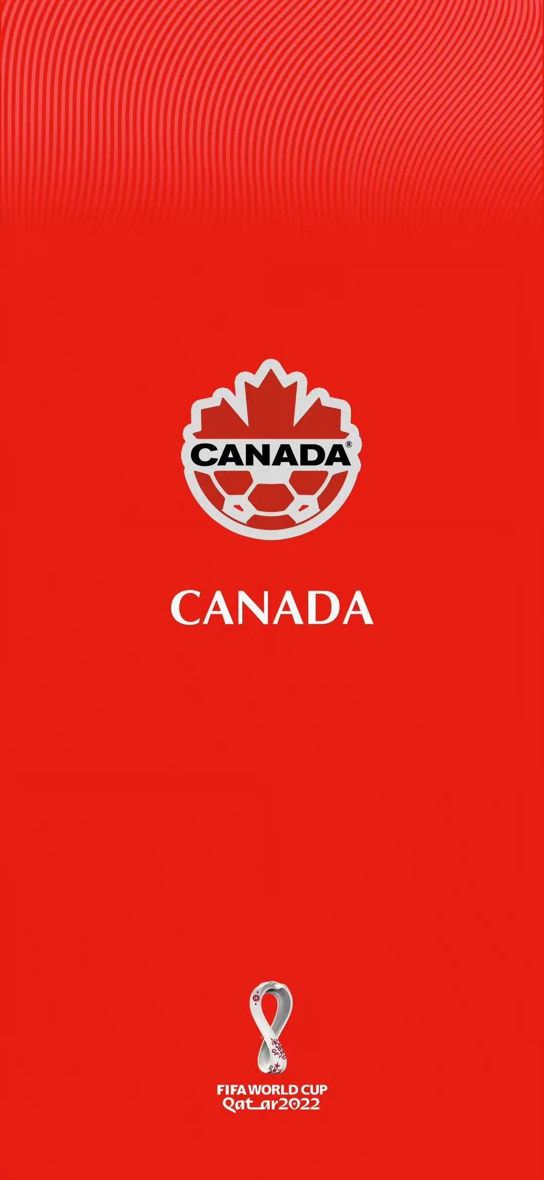 足球壁纸世界杯巴西,足球壁纸2020年