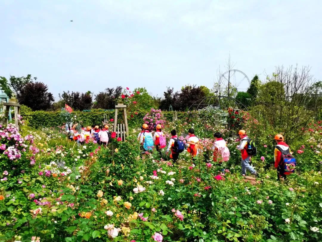 孩子们的快乐星球！周末带娃，肥西这些地方就够啦！