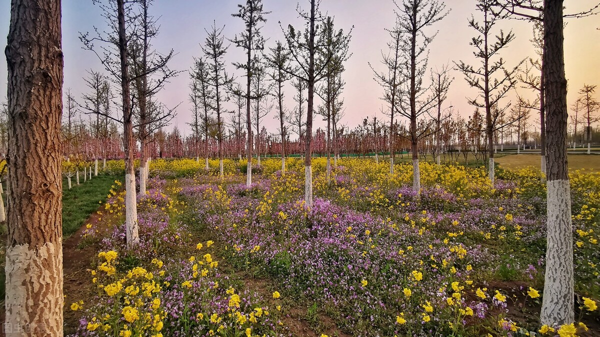海河教育园湿地公园11月份,海河教育园区湿地公园国庆氛围