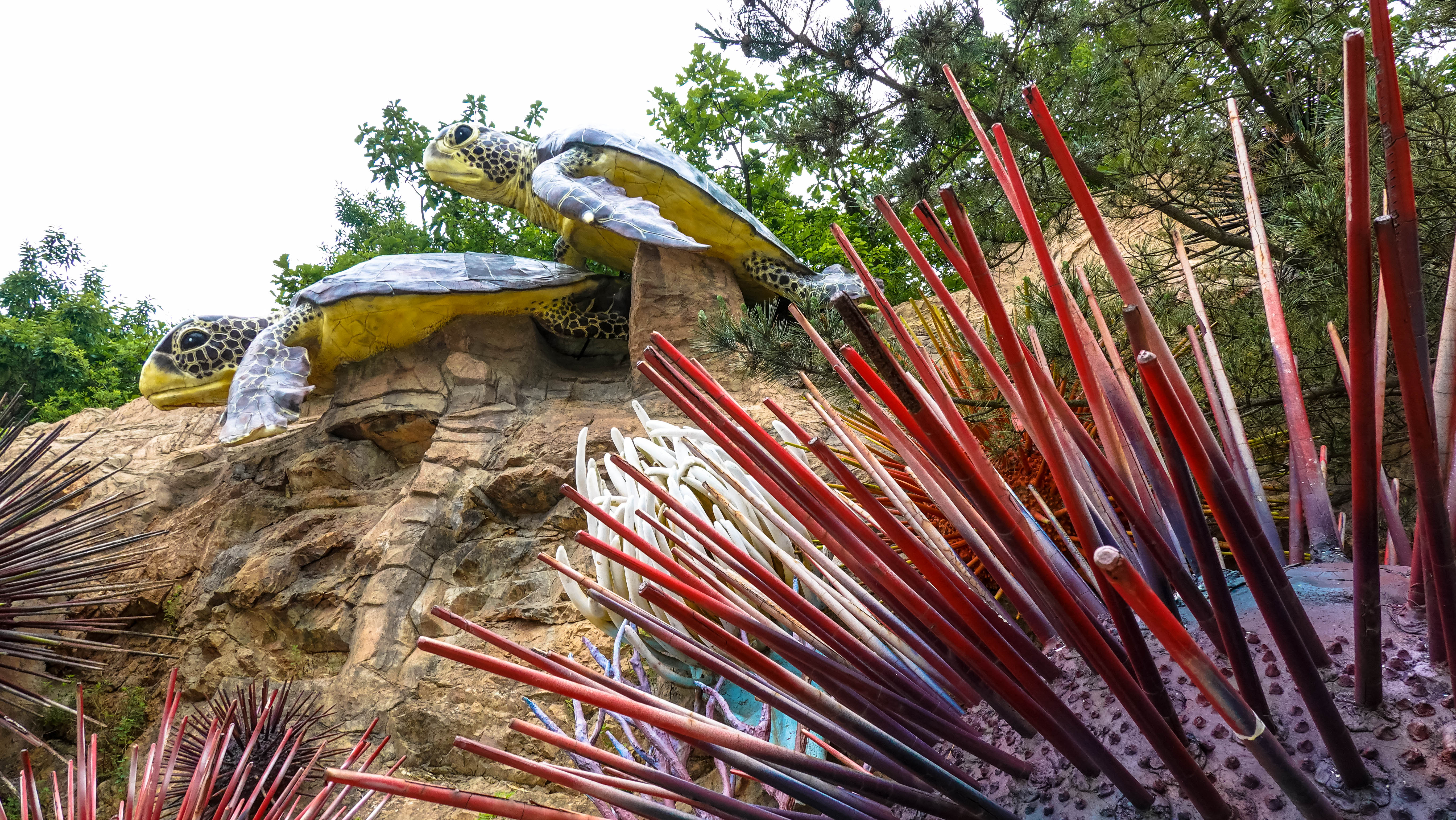 行摄华夏系列(38)——浪漫之都大连(四)