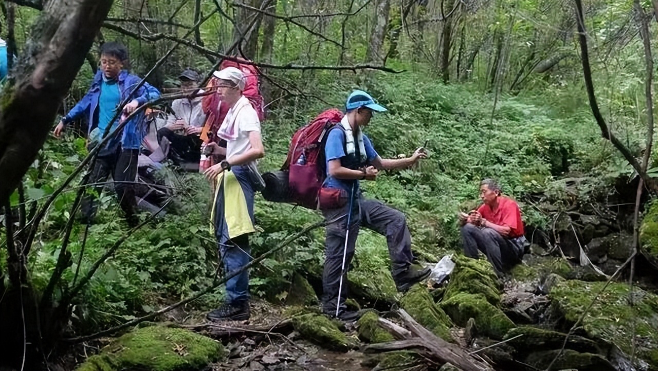 夫妻隐居深山为爱修阶梯真实,19岁小伙和寡妇隐居深山50年