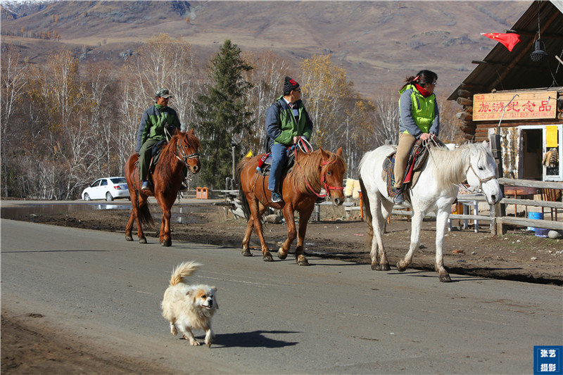 秋天必去中国50个最美地方,一生必去的五个中国最美秋天