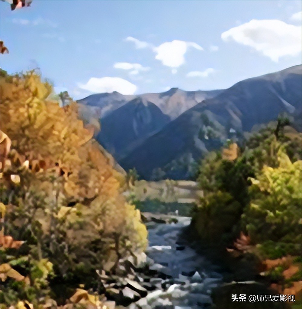 雅江松茸之乡完整视频,雅江松茸之乡山清水秀