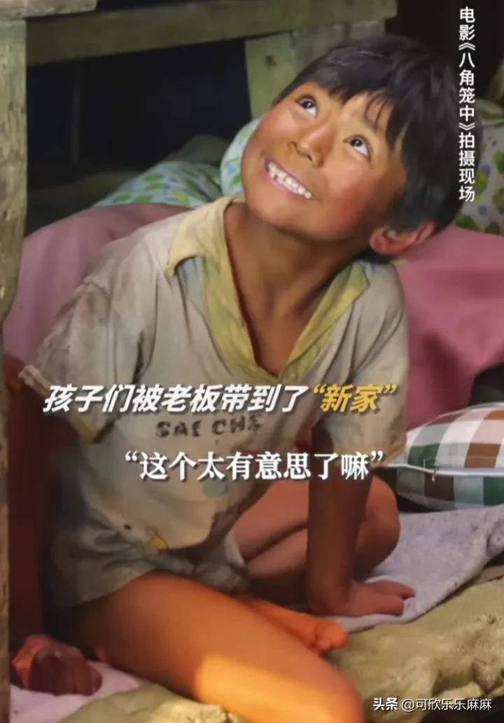 实时票房榜八角笼中,电影票房实时排行八角笼每日票房