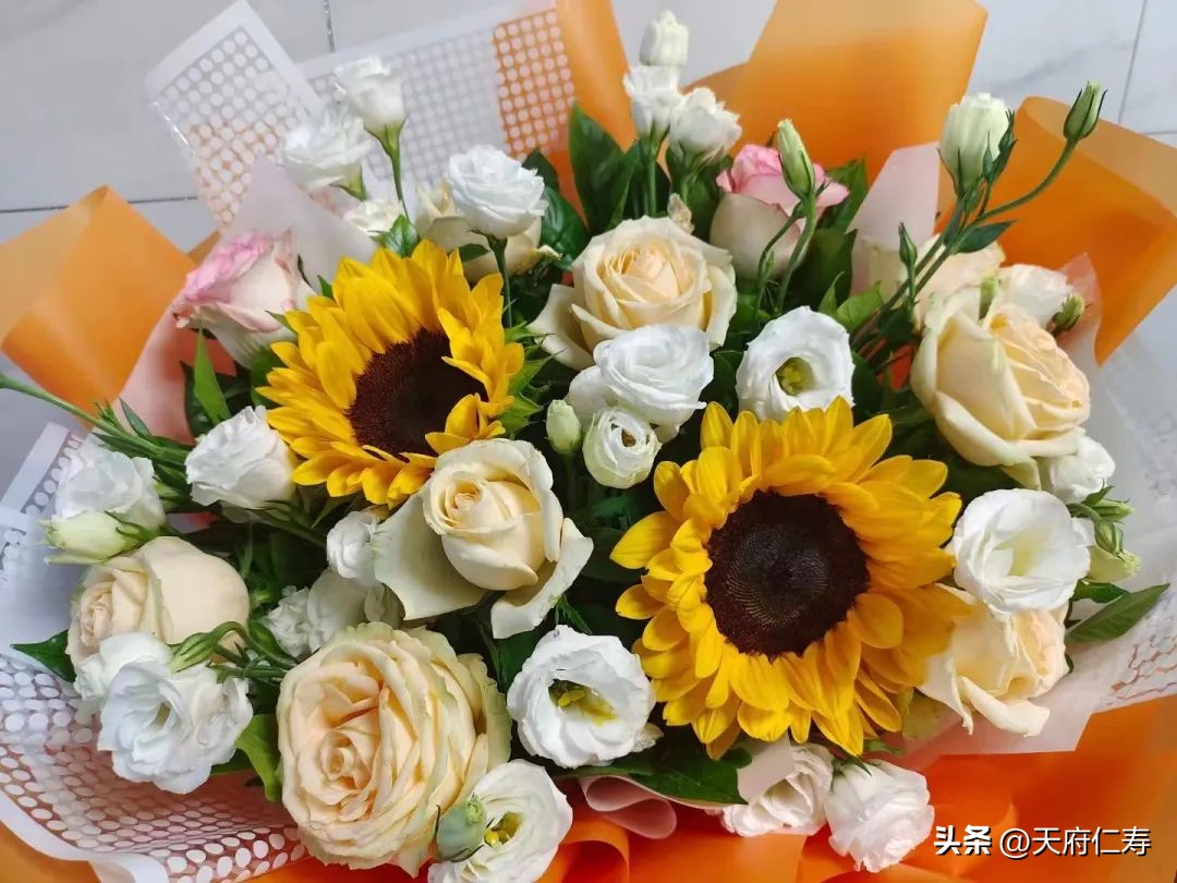 仁寿德培小学的教学特色是什么,仁寿德培小学