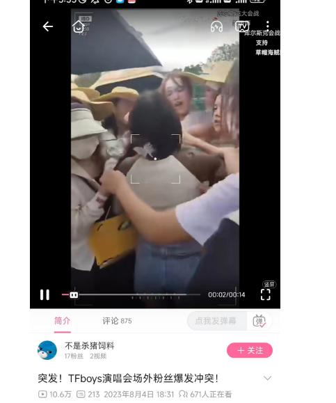 tfboys粉丝举旗游街,tfboys粉丝举旗游街打灯牌