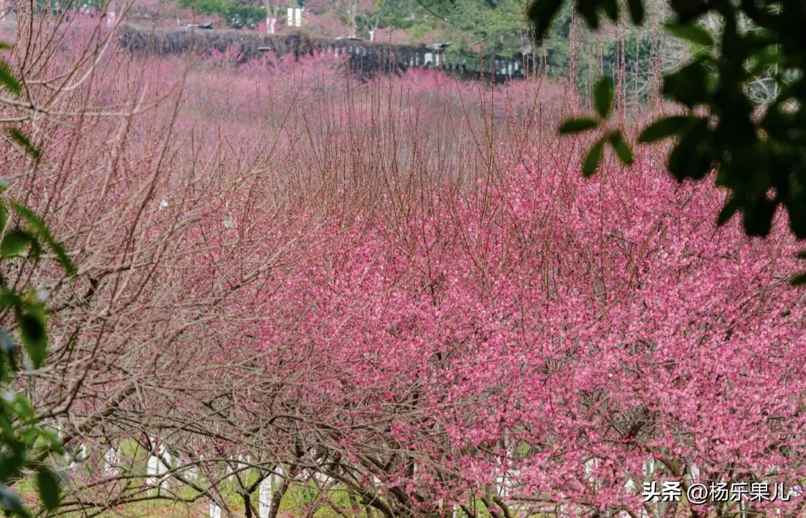 龙冠自然风景区万州,重庆万州风景区有哪些