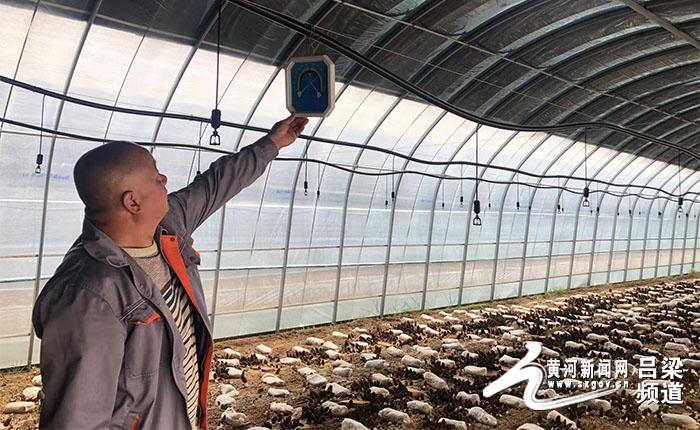 岚县农业转型打造品牌,岚县农业项目