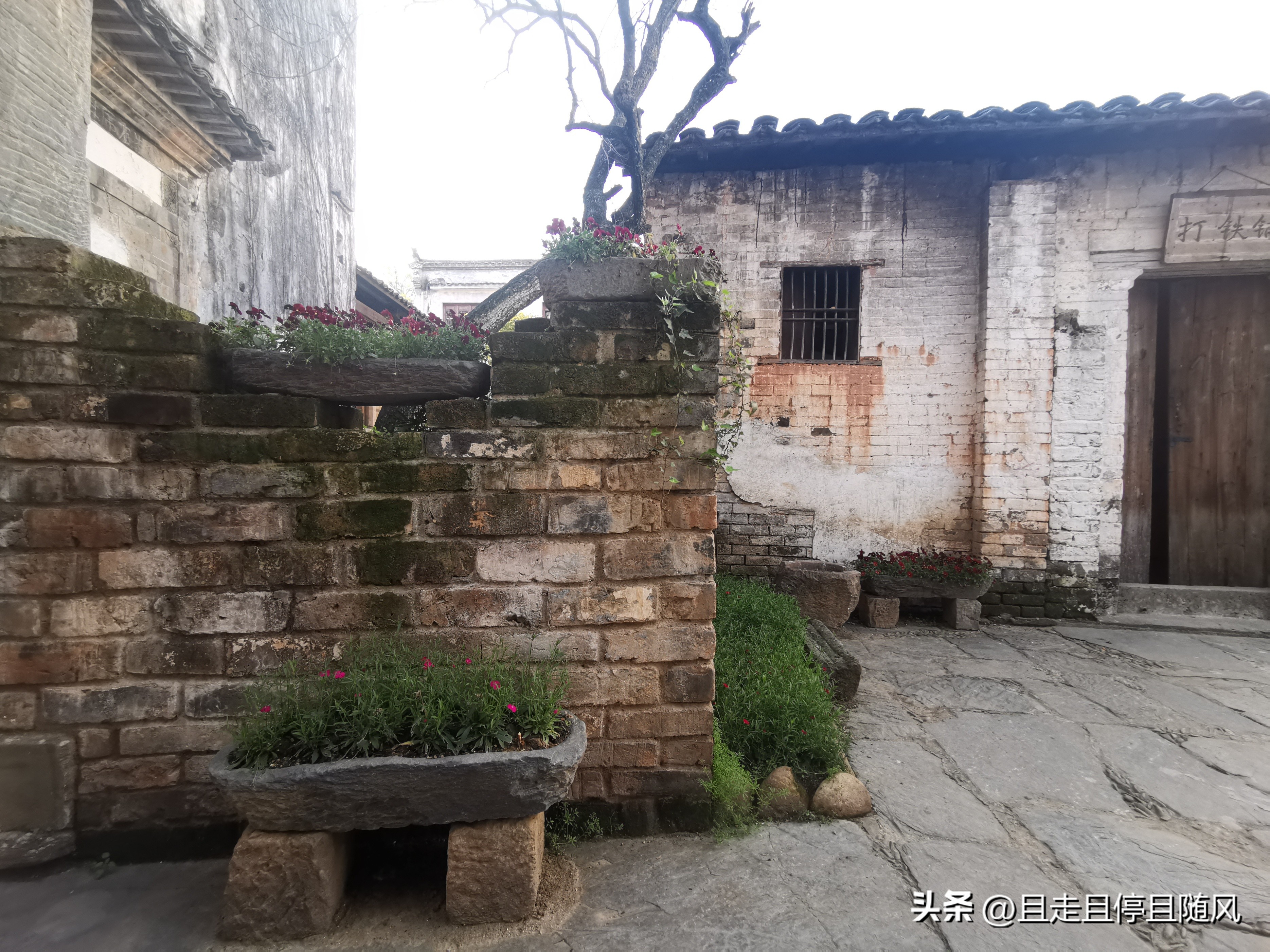 婺源唯一的5a级景区江湾视频,婺源江湾景区电话