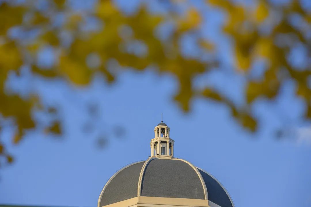 外国语大学本科招生简章,上海外国语大学2022年录取分数线