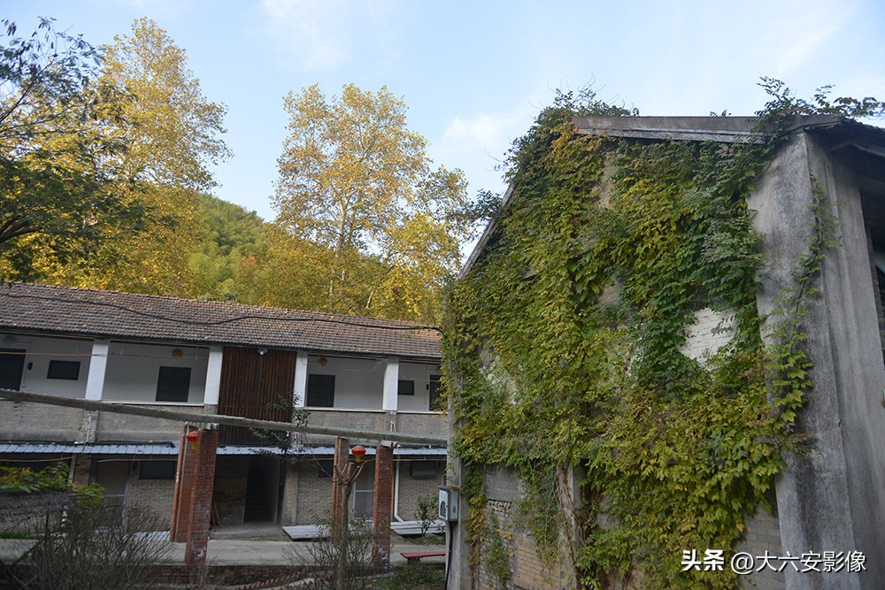 探访大别山中画家村民宿都有游泳池美食诱人